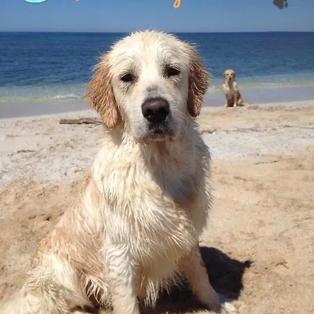 Szálloda Lugh'e Luna Village Narbolia